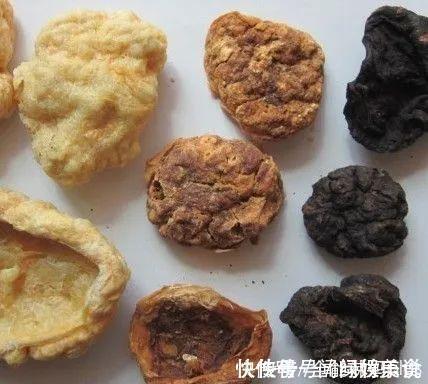 母体|生完宝宝后，你的胎盘“埋了”还是“吃掉”？做法不同结果大不同