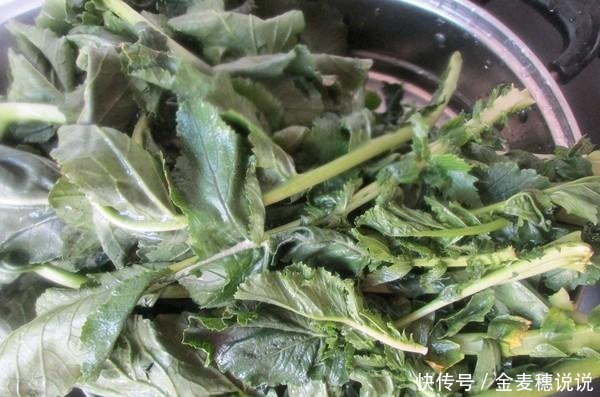 这菜是“蔬菜皇后”,却总被当垃圾扔掉,明目护眼,好吃到舔手指