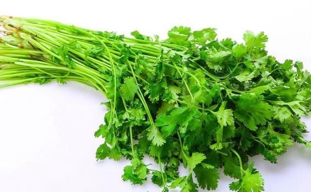 味辛性温|不要再随便吃香菜了,尤其这4类人群最好不要吃,快告诉家人吧