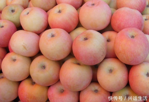 孩子们|有几种水果家长要舍得常买给孩子吃,能保护视力,提升孩子抵抗力