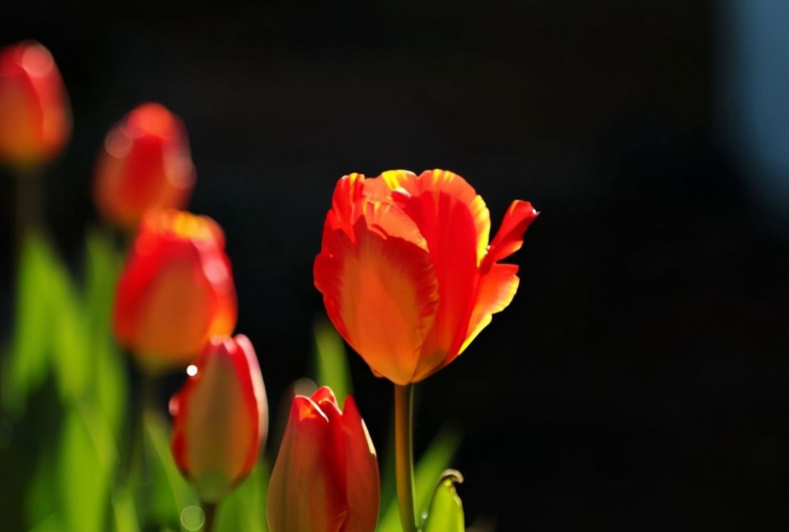 病态|真正聪明的人，与人打交道时，不说以下五种话