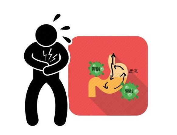 肾脏|身体4大器官,喜好各不相同!想保养它们,先了解这些知识