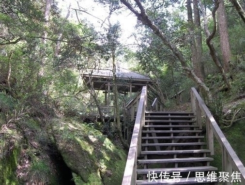 葛洪$王安石写的《题玉光亭》，你知道它的出处吗？