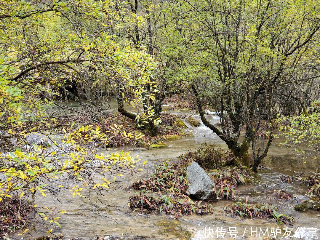 四川行之四：黄龙