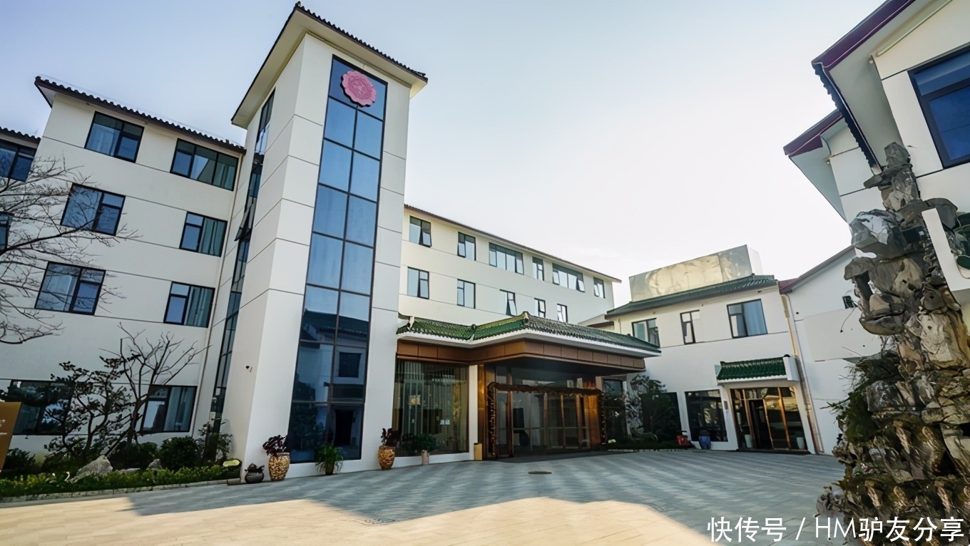 鼋头渚景区内“樱花树王”终于公开了,3月中下旬可以去打卡