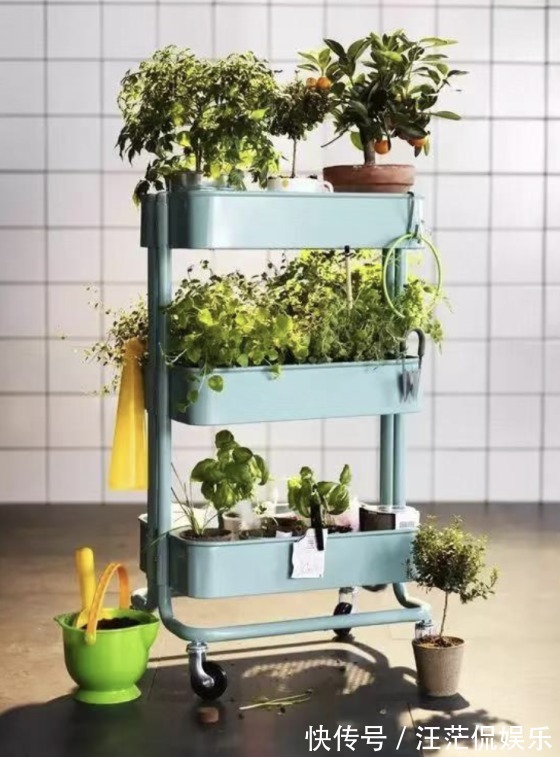 卫生间|它堪称万能家具,能替代茶几、床头柜,让空间翻倍,储物更灵活