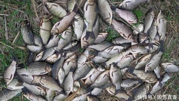 冬季钓鲫鱼,这四种钓点不能碰,再好的饵料也钓不到鱼