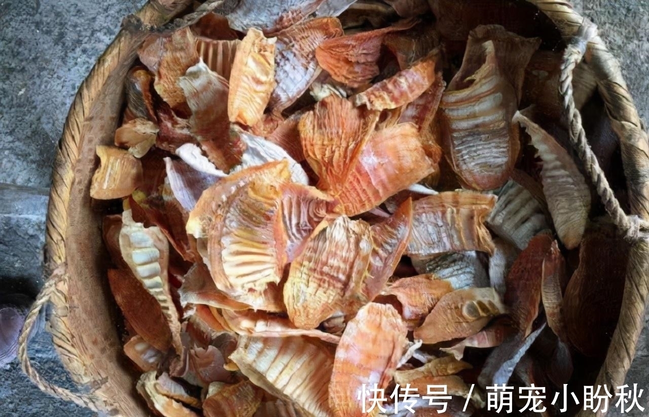 婆婆从家乡寄来的土特产,老妈却瞧不起,邻居:你可真不识货!