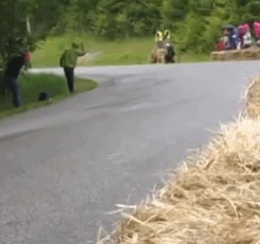 |搞笑GIF:这是谁家的闺女