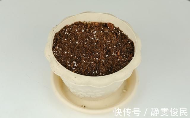 板结|土里加点酸酸水,盆土软得像发糕,养花透气不烂根