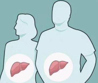 饮食|身体若有脂肪肝,一定会有这些表现,得了脂肪肝如何饮食?