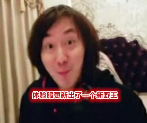 刘备|张大仙宣布新野王诞生，史诗级加强胜率登顶，“核爆流”出装成国服标配