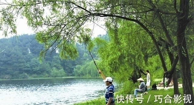 水温|野钓时鱼停口往往是这些原因所导致，这样调整状况，没口变有口