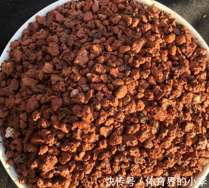 最实用的多肉配土,无需复杂简单就好,多肉配土详解