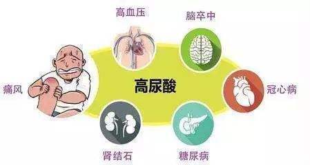 尿酸高的人,尽量少吃这三类高嘌呤的食物,许多人可能喜欢吃