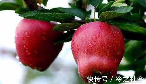 减脂|每天晚上坚持吃3种食物，补血益气，降压减脂，好吃也不贵！