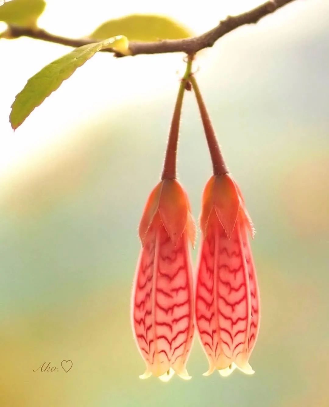 荐读|荐读——人生的最高境界,就一个字:给!