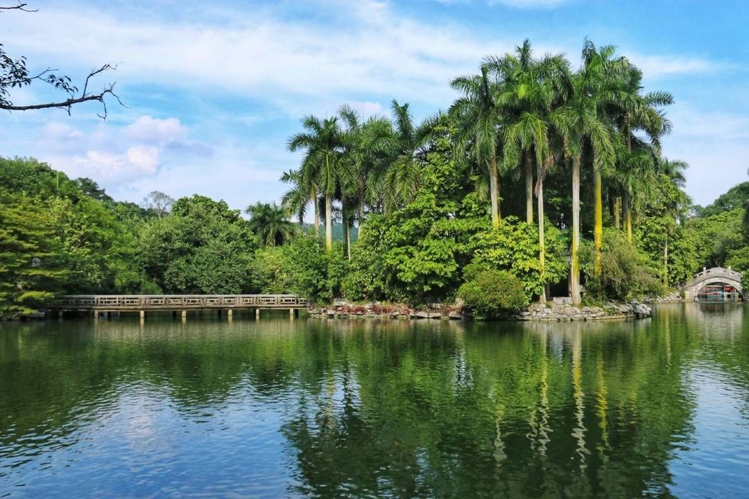 航班|飞客说｜开启新年新通途 假期旅行机票这样买｜封面天天见·逛姐出街