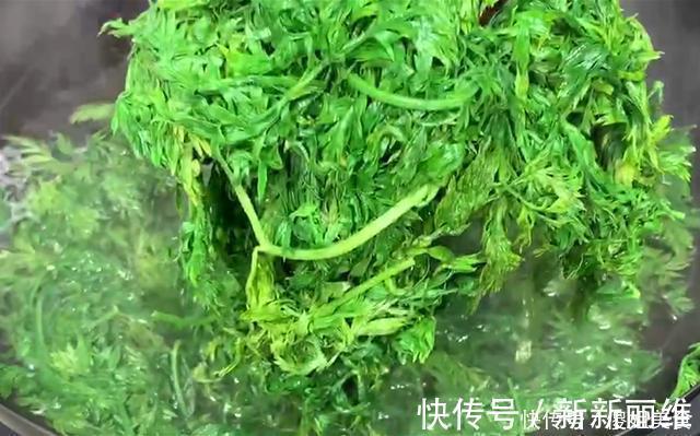 胡萝卜缨|夏天，用它包饺子，又香又嫩，不花1分钱，比韭菜茴香都好吃