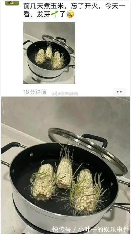 |神评段子合集:月老给你绑的钢丝,都被你用老虎钳剪断哈哈哈