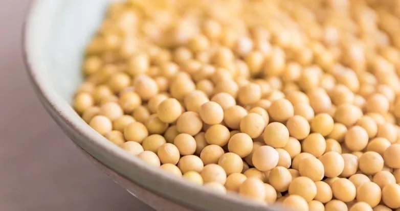 桂圆|月子素食谱,照着吃,不怕营养不够了!