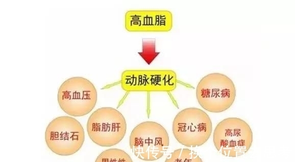 干细胞|中科西部干细胞研究院:干细胞治疗高血脂,有效改善血管硬化!