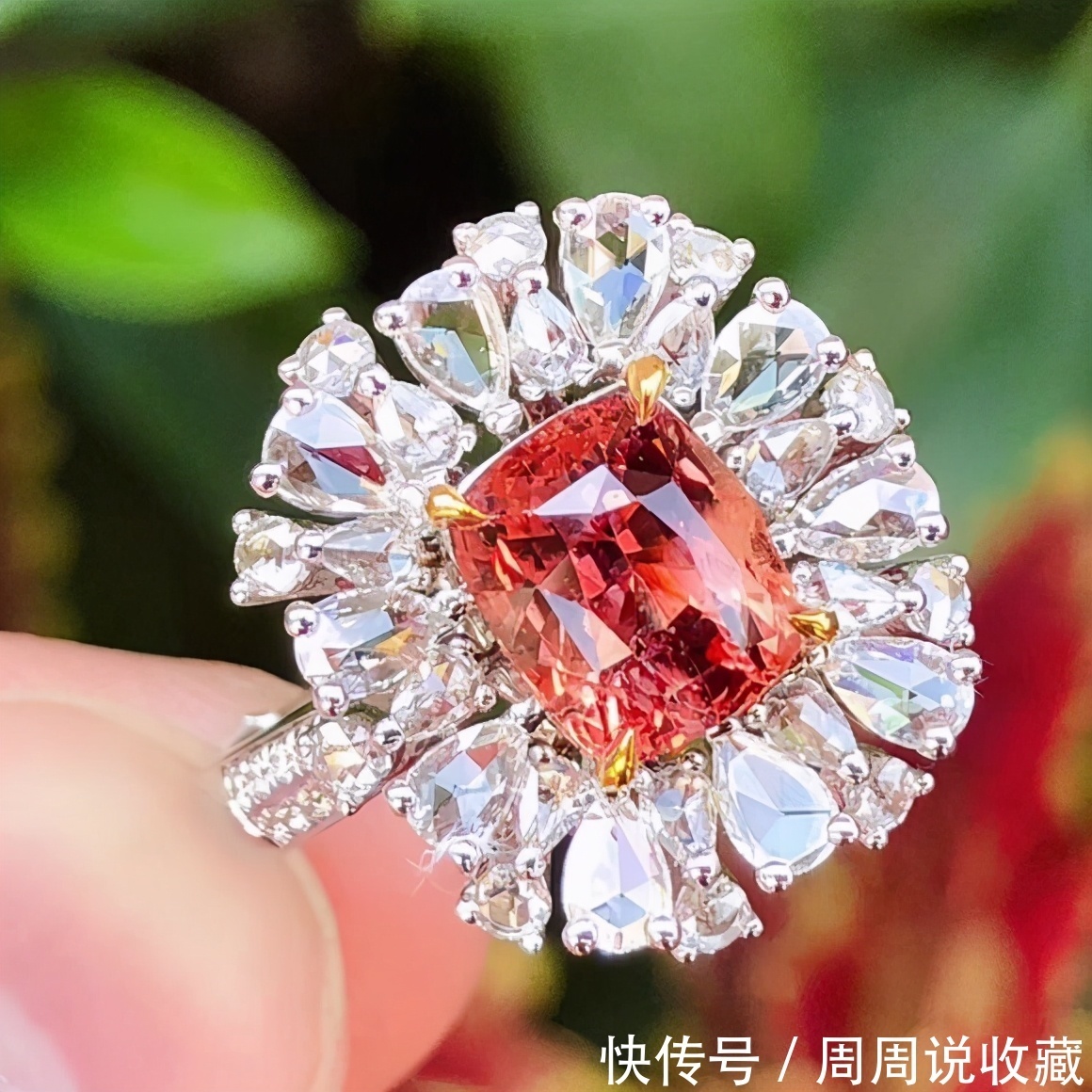 蓝宝石之王，帕帕拉恰，究竟有多迷人