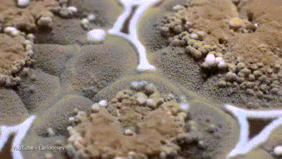 儿女|儿女双双查出肝癌,医生含泪苦劝:2种食物应尽量少出现在餐桌上