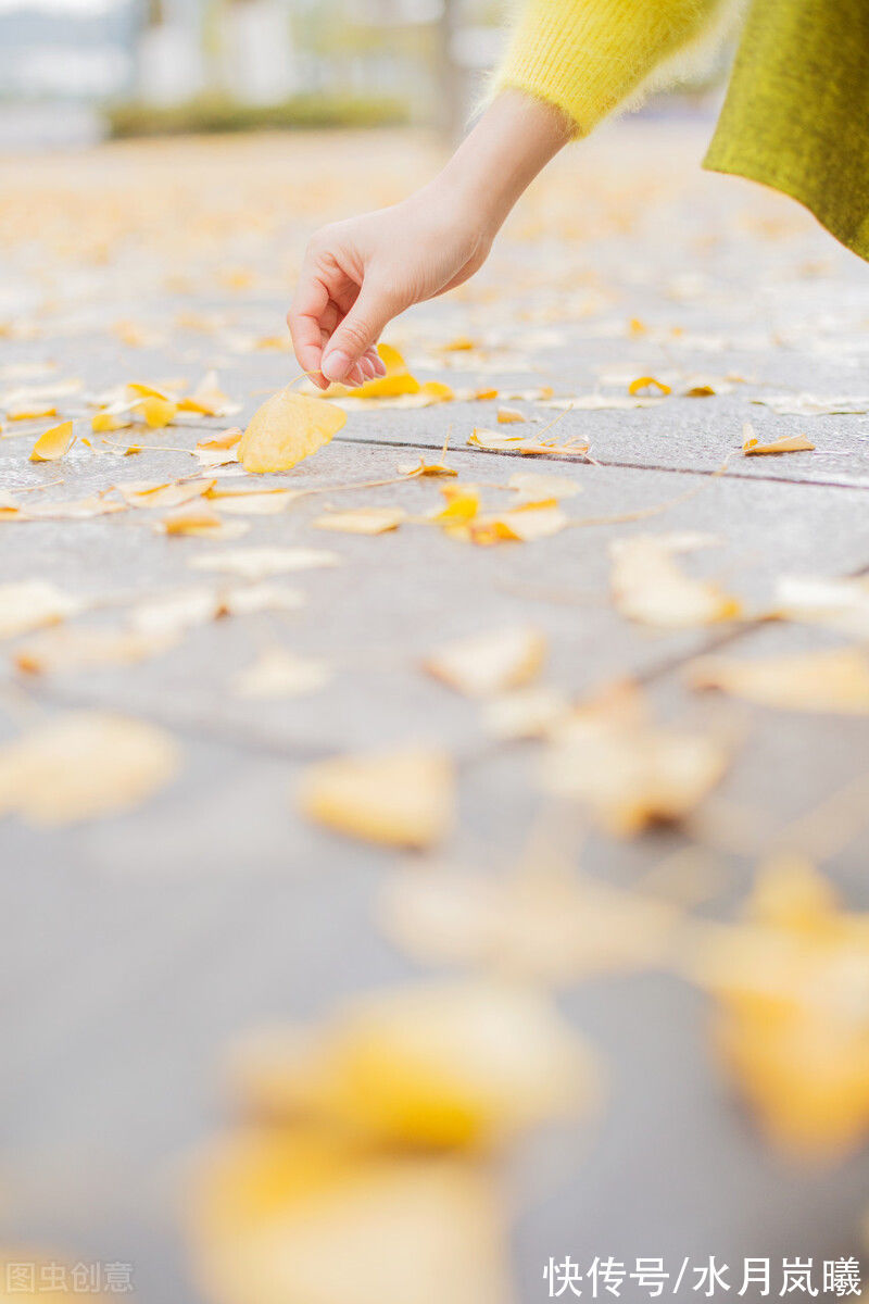 流年!次第回眸,秋雨惊心,愿岁月化为沧海,愿你我归于初见