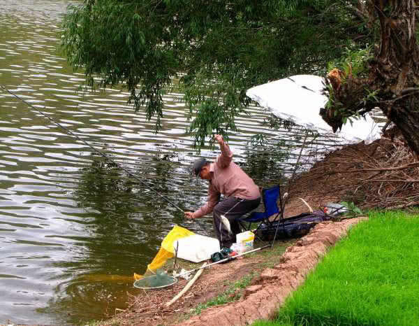 刮风|钓鱼和刮风有什么联系能回答这三个问题,说明你钓鱼有些年头了