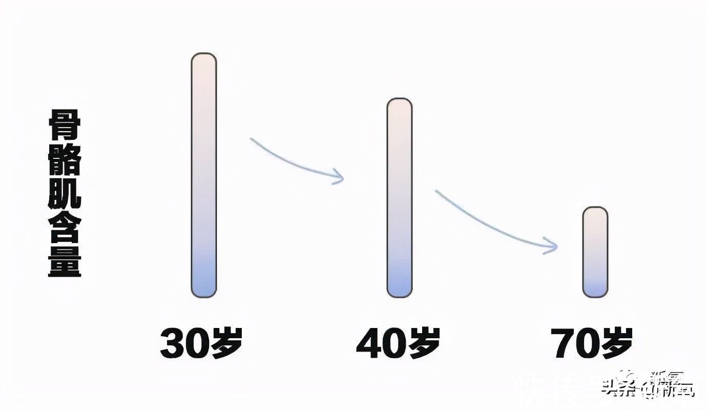 美修斯|比胶原蛋白流失更残酷的，是每年以2%速度消失的肌肉