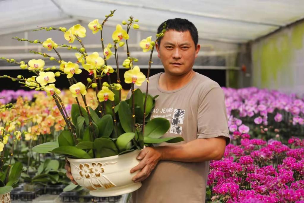  看直播，逛花场，买年花，过大年