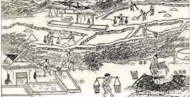 手中|古代官府为何要将盐控制在手中?从哪个朝代开始这么做的?