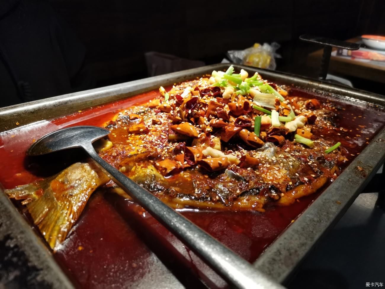 一万年前吃烤鱼一万年后吃探鱼