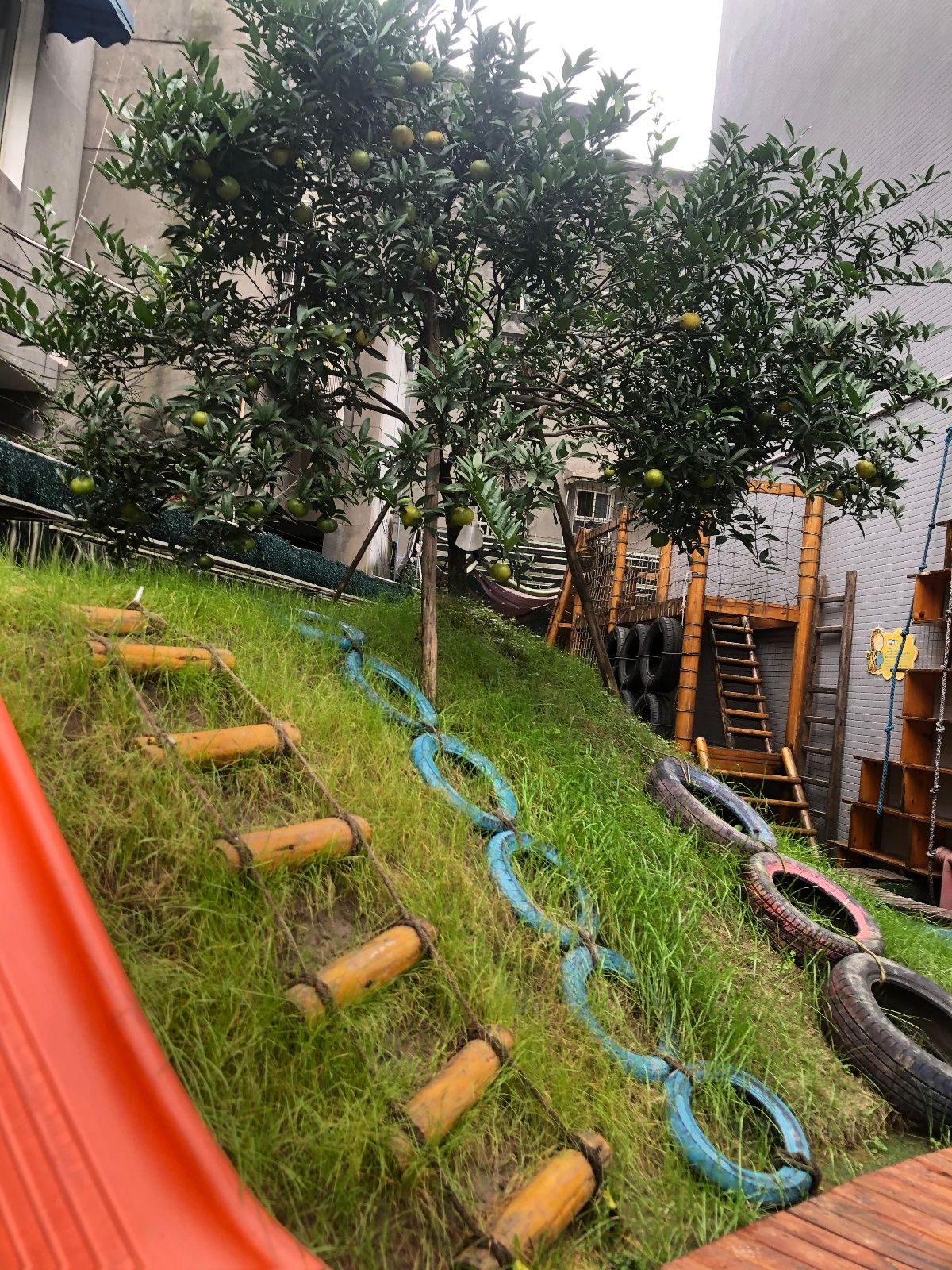 秋意|久顺 秋意正浓，我们正在与秋天同行