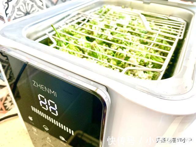 绞肉机|腌韭菜花别只会放盐，教你1招，颜色翠绿不发黄，保存一年不坏