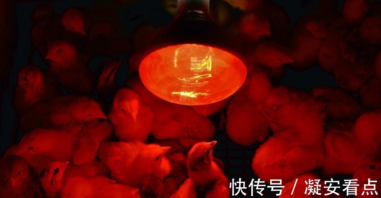 眼轴|近视真的是因为用眼疲劳吗?科学家表示真相另有隐情