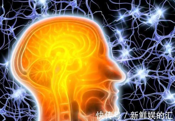 营养元素|为什么吃饱才能减肥？不仅可以增加饱腹感，更重要的是补充营养