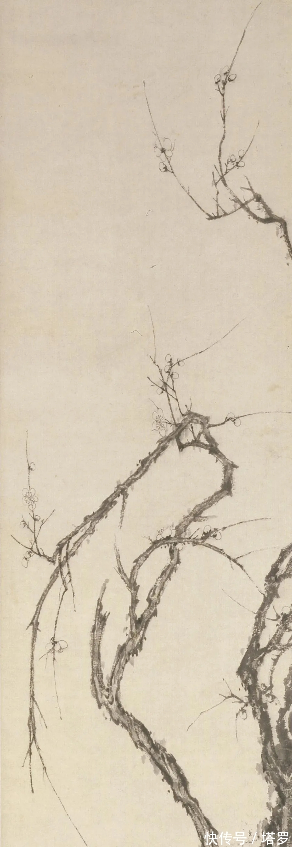 江画梅@他的山水画面貌来源于铁骨冰心的梅花|渐江画梅