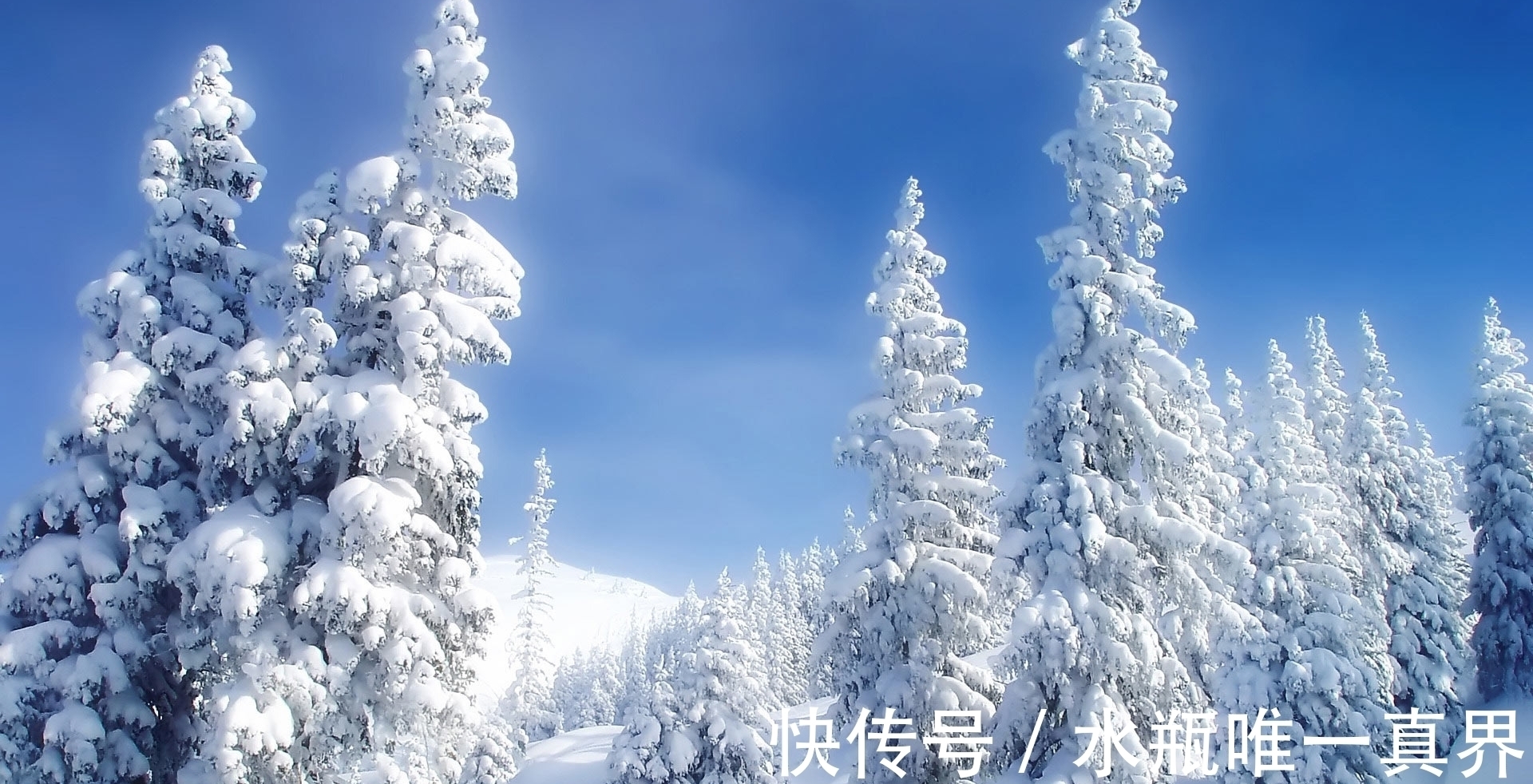 孤篇#有些诗人只有一首诗流传下来,这些诗人中最著名的是哪10位?