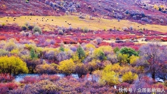 愿你能在对的时候，去到正确的地方，邂逅魂牵梦萦的秋