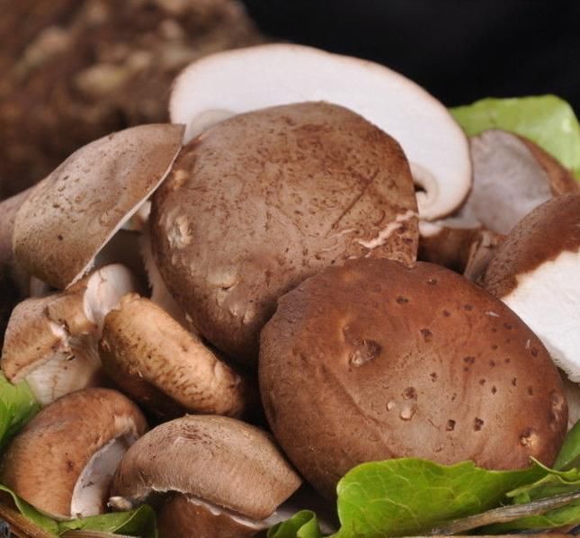 螃蟹|香菇好吃却不能乱吃,吃香菇有1大禁忌,早知早受益