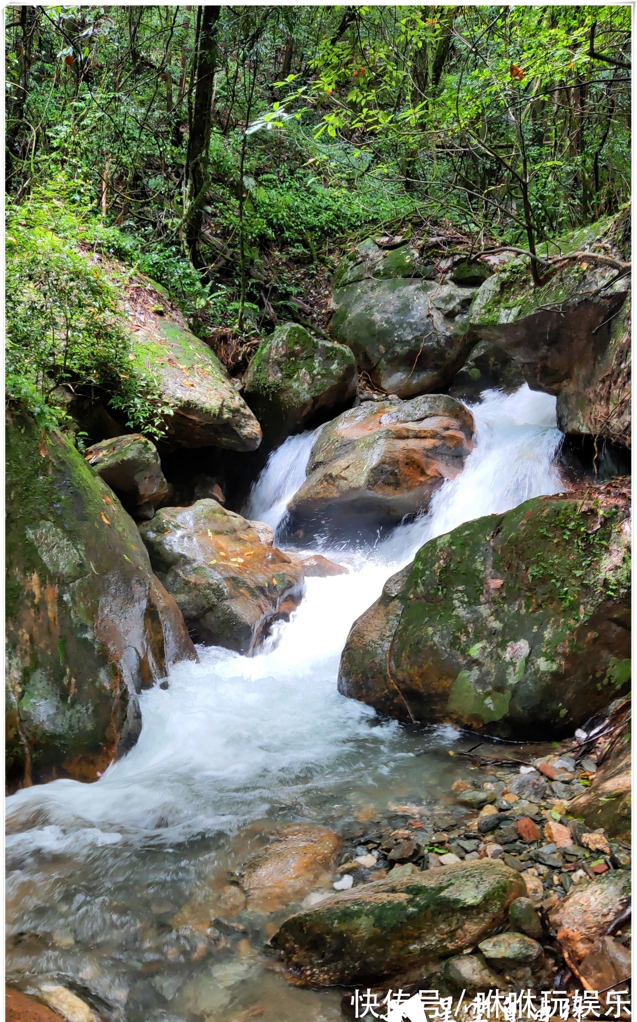 原始森林|自驾云南新平哀牢山，在雨中走茶马古道、体会马帮伙计的辛酸苦辣