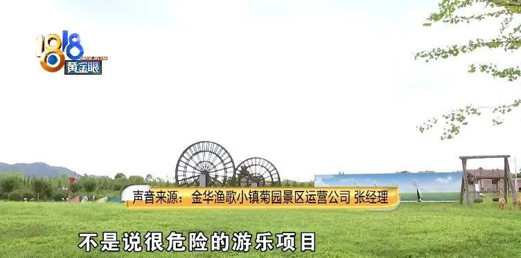 安全带|大人“参战”跷跷板，孩子牙齿受了伤