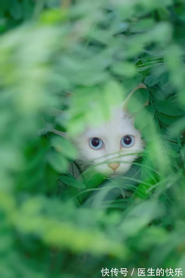 |「被窝段子20210727」生活没有低谷,只有蓄势待发