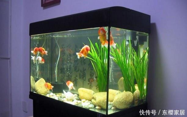 到底|这么多的养花技巧,到底哪个能用