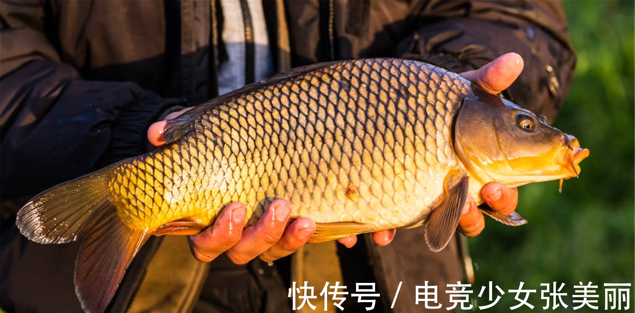 钓友|老钓友经验之谈:4种情况下，调高目比调平水更实用