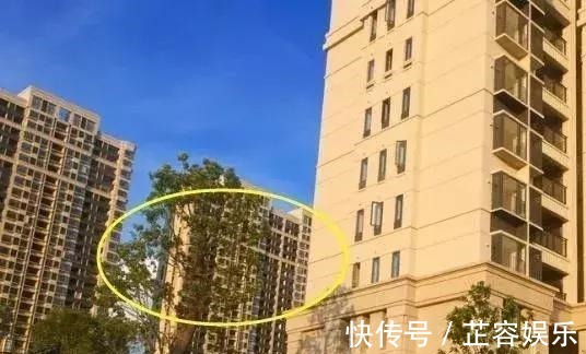 西户|西户房和东户房哪个更好夏天到了,丈母娘天天那边叫着热,烦死