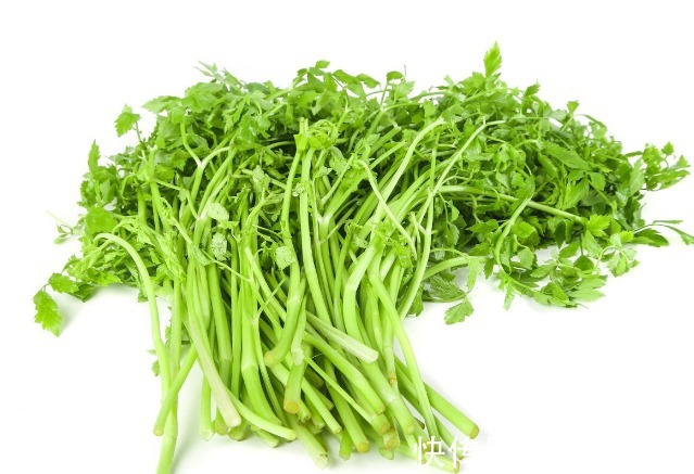 小根|65种野菜图片,带你认识不同的野菜和吃法,你想要的野菜这里都有