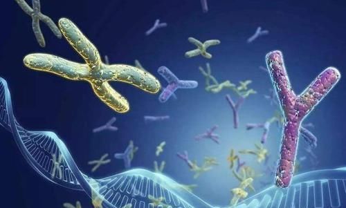  长寿|君子有“4戒”，想要自己健康更长寿，戒掉一个也是好的！